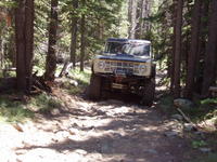 Picture 011