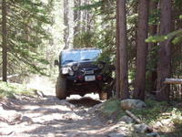 Picture 013