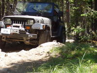 Picture 015