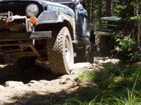 Picture 017
