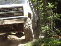 Picture 018