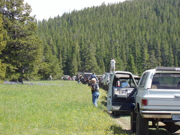 Picture 020