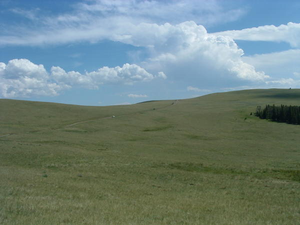Dscf0213.jpg