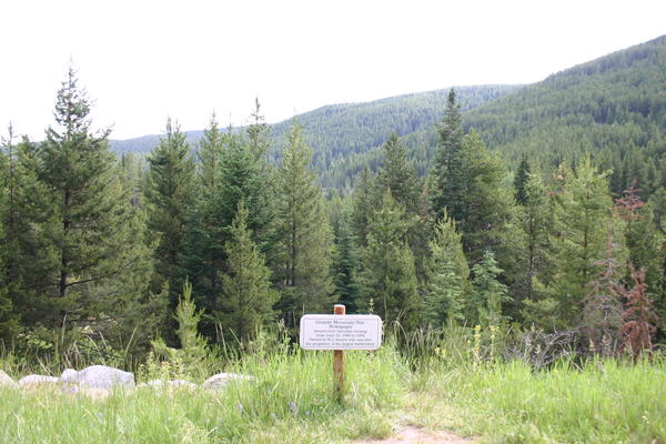 img_3386.jpg