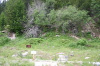 img_3393.jpg