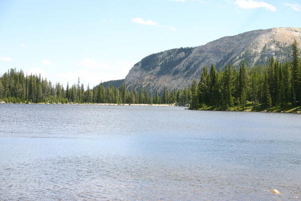 img_3411.jpg