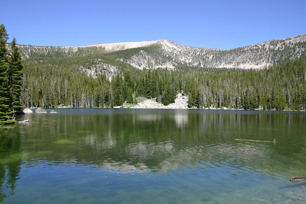 IMG_3354.JPG
