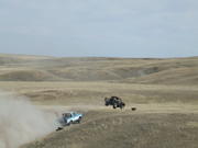 2007_0317baja20070019