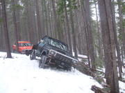 2007_0411stubycage0002
