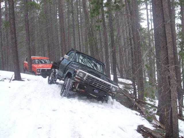 2007_0411stubycage0003