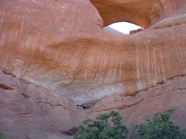 DSCF0134