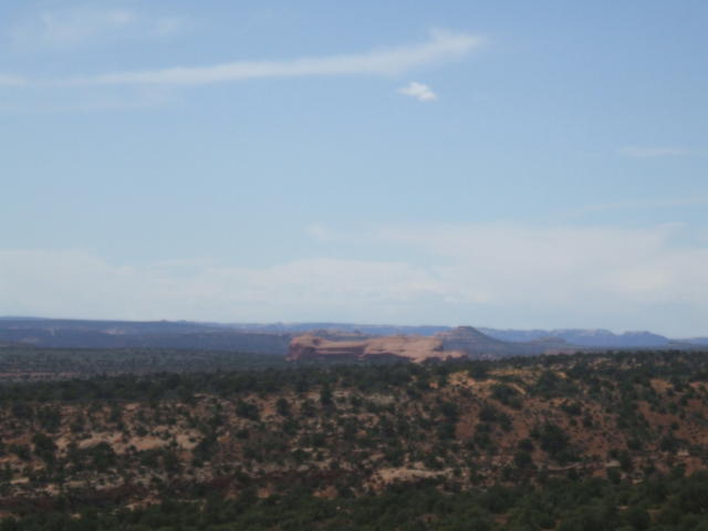 DSCF0546
