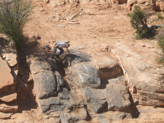 DSCF0551
