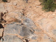 DSCF0554