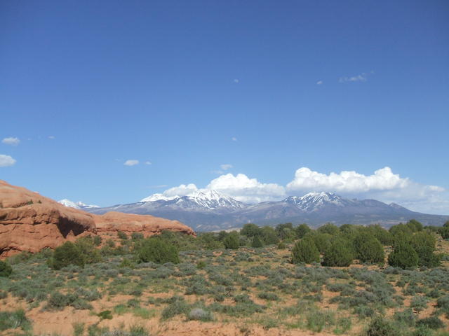 DSCF0567