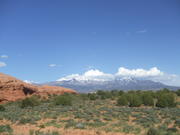 DSCF0567
