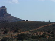 DSCF0022