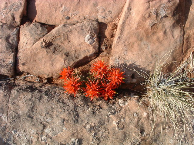 DSCF0024