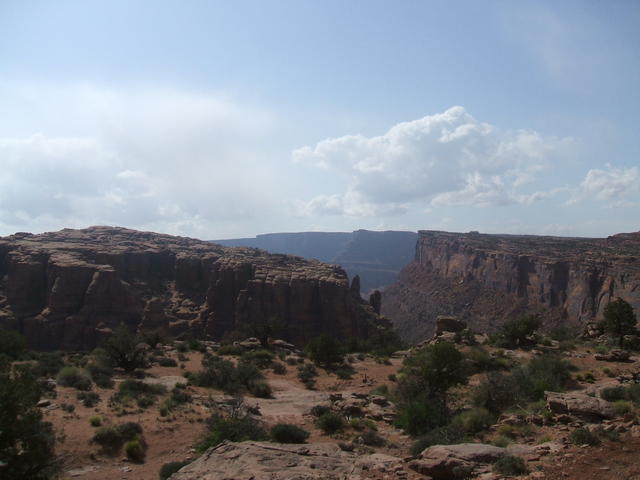 DSCF0368