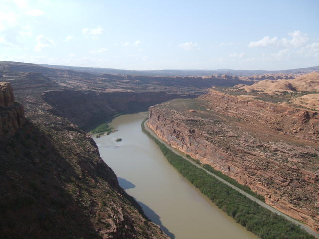 DSCF0381