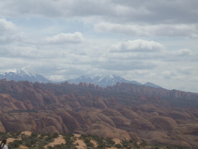 DSCF0429