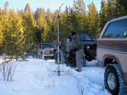 The rest of the crowd at the "tree cutting" spot.