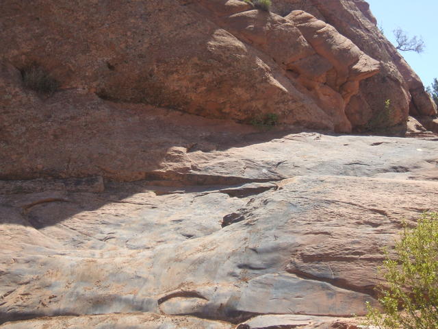 DSCF0523
