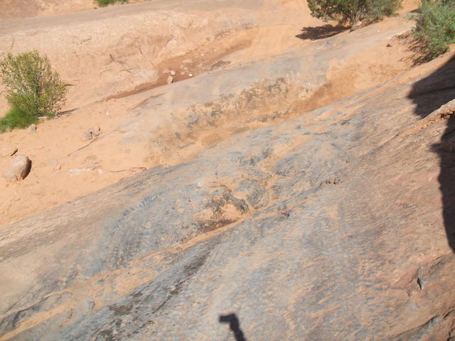 DSCF0536
