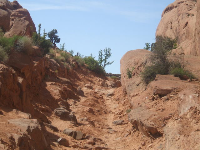DSCF0539