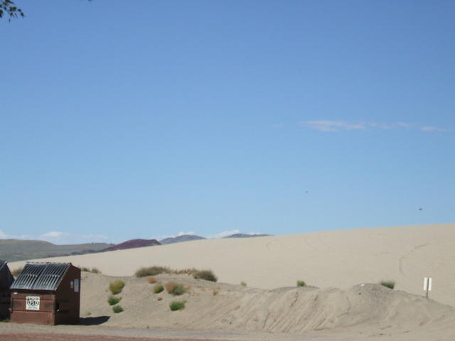 2007_0903stamthonys0008