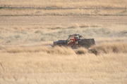 IMG_1992