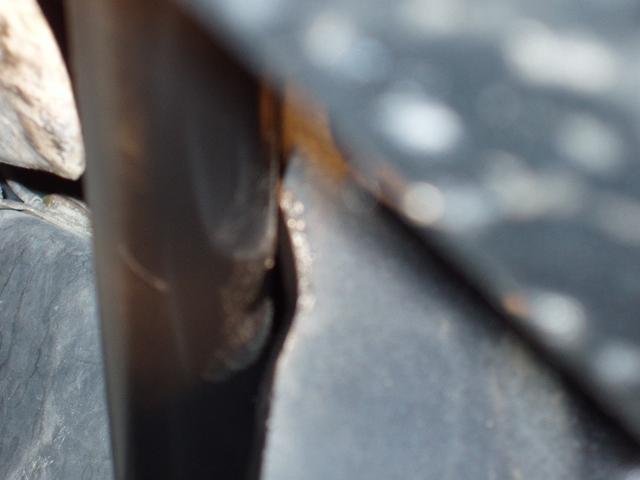 P1010020.JPG