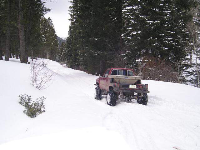 Picture 005