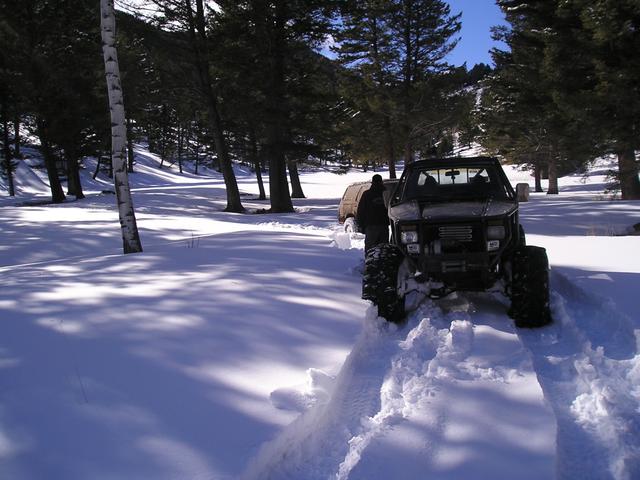 Picture 010