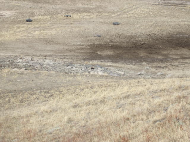 DSCF0696