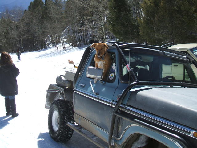 2008_0330woodchute0003