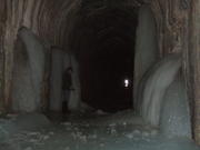 2008_0330woodchute0017