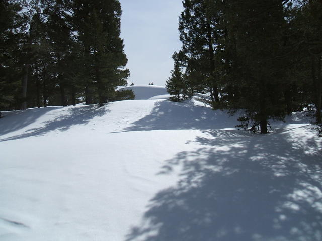 2008_0323mullan0009
