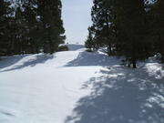 2008_0323mullan0009