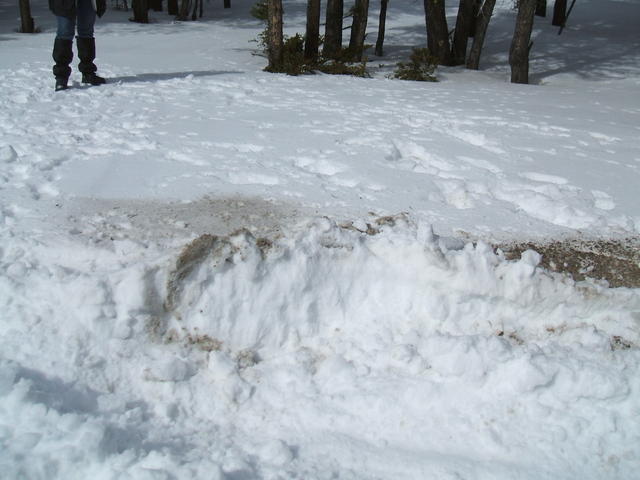 2008_0323mullan0018
