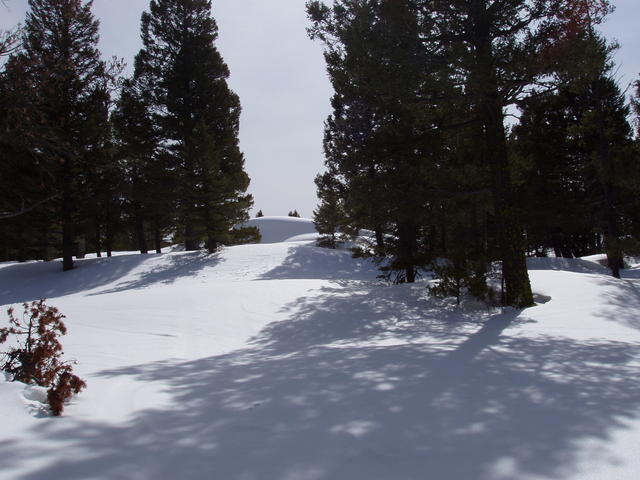 P1010002