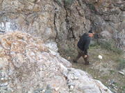 2008_0511carcasscanyon0055