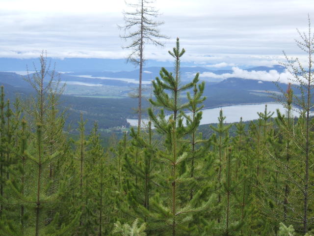 2008_0525wildbillOHV0024