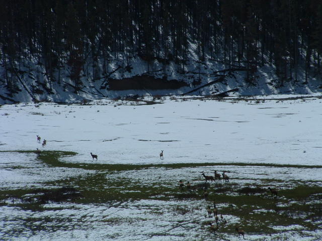 DSCF0075