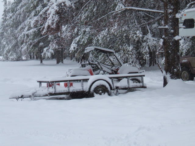 2008_0614fathersday20080011
