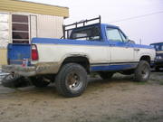 my wood hauler.short so i have to stack it high.