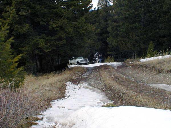 P3300023 - Here he comes! Dennis makes some good tracks for the rest of the crew.