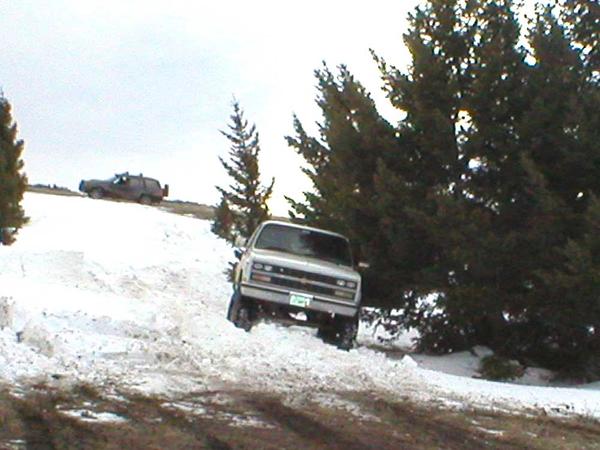 P3300041 - Dennis is being tricky, and decides to go up-hill, backwards!
Just above Dennis, there's Chad and Dalicia, making th