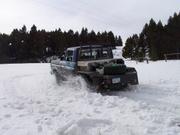 Stubby breaking trail