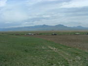 DSCF0031